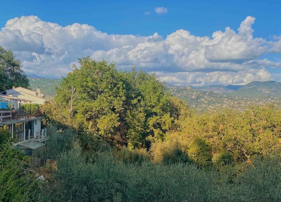 Bas De Villa Au Milieu Des Oliviers. Chateauneuf-Villevieille Екстер'єр фото